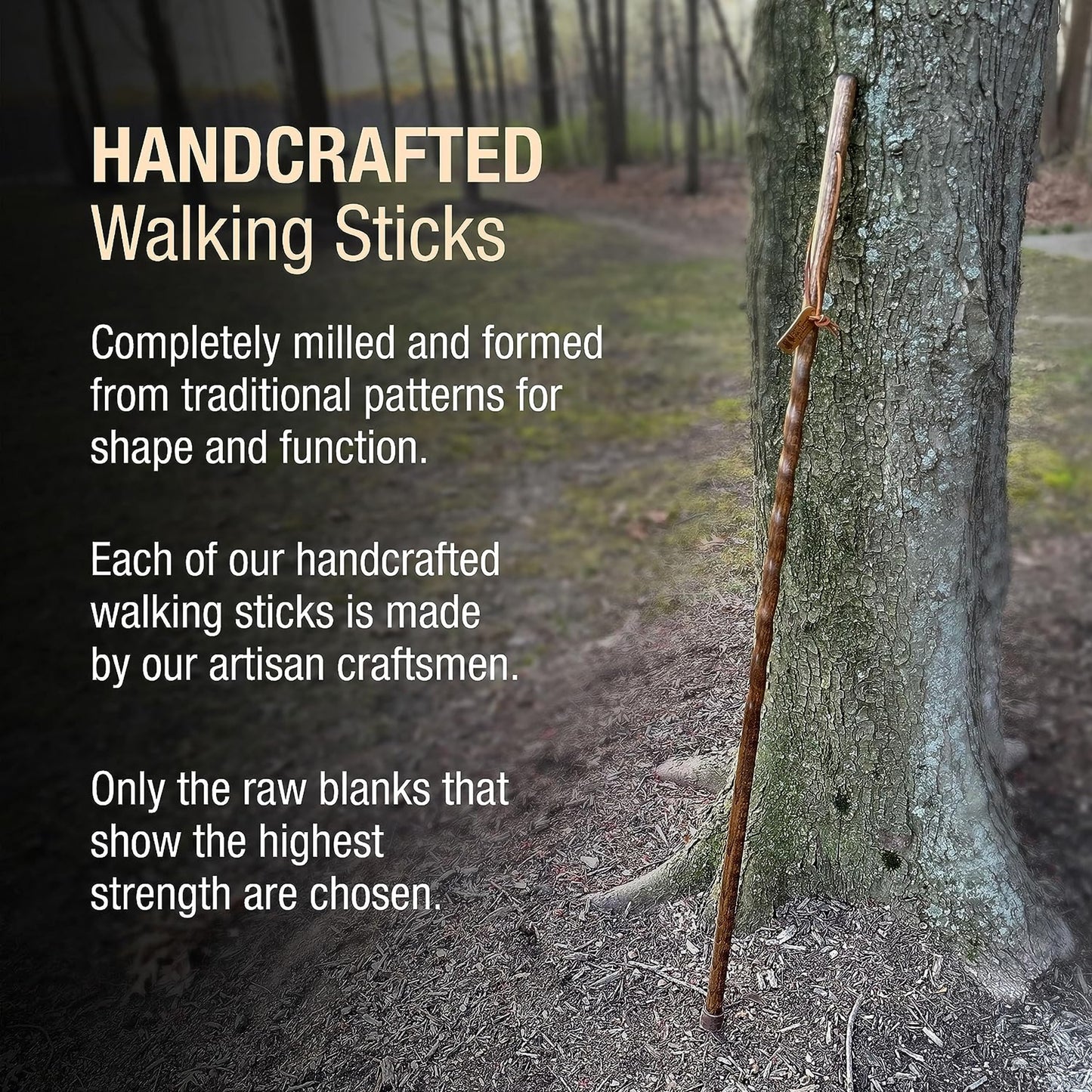 Brazos™ Traveler Walking Stick Wood 55 Inch Height Red Sweet Gum (1237890_EA)