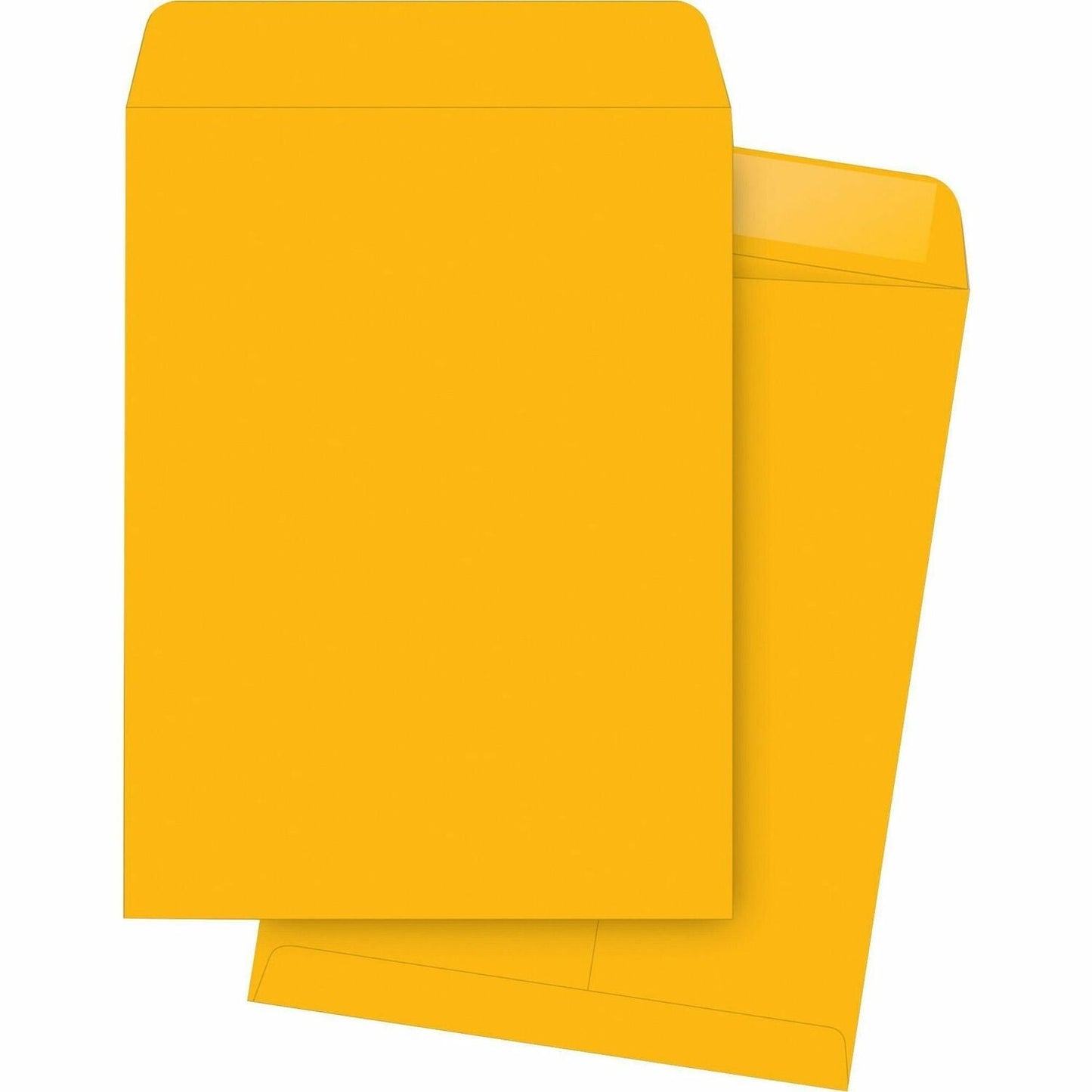 business-source-catalog-envelopes-num-bsn42101_1