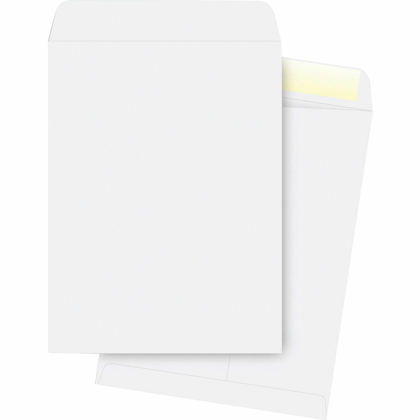 business-source-catalog-envelopes-num-bsn42103_1