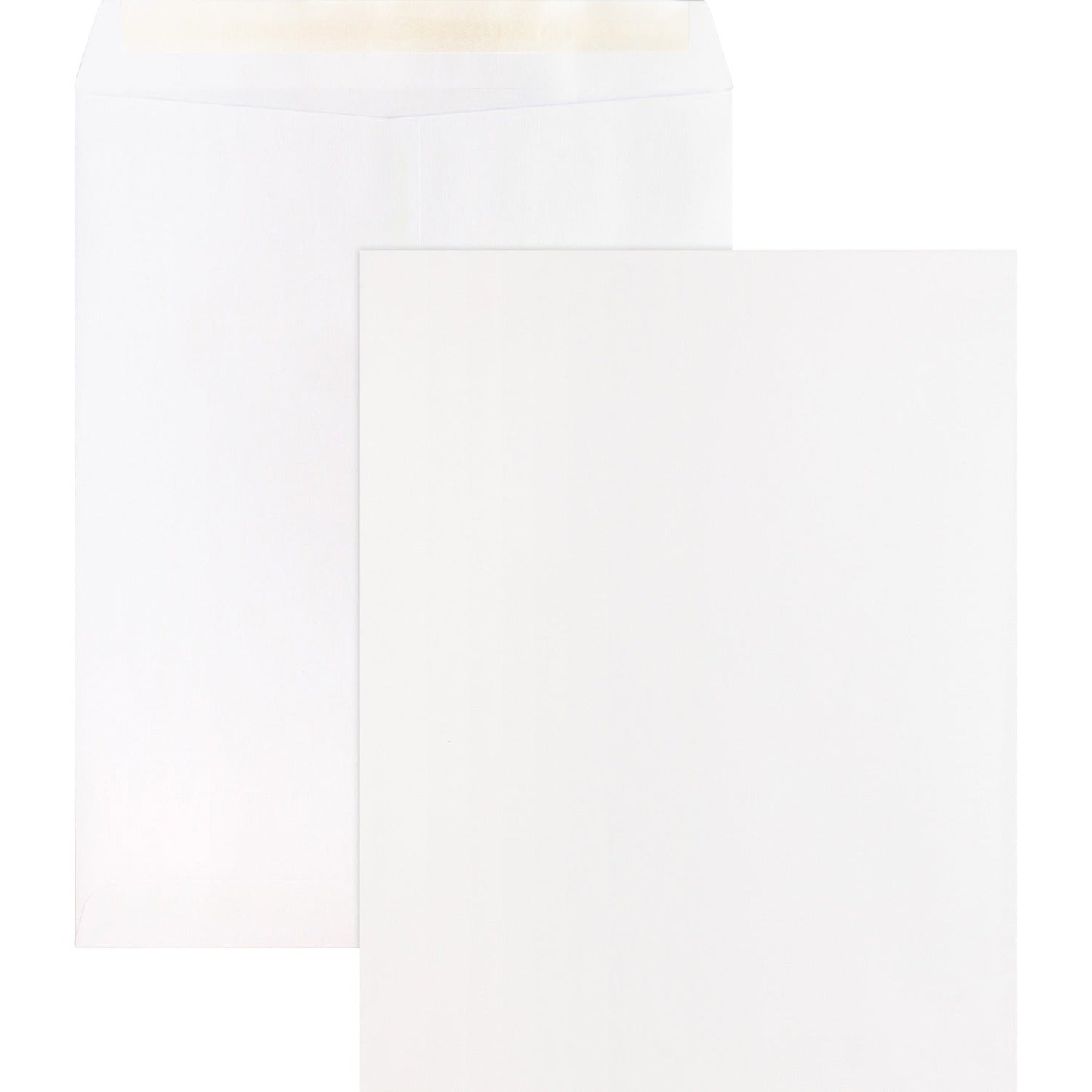 business-source-catalog-envelopes-num-bsn65451_1