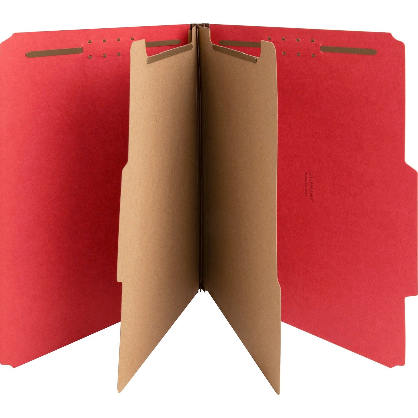 nature-saver-classification-folders-num-natsp17206_1