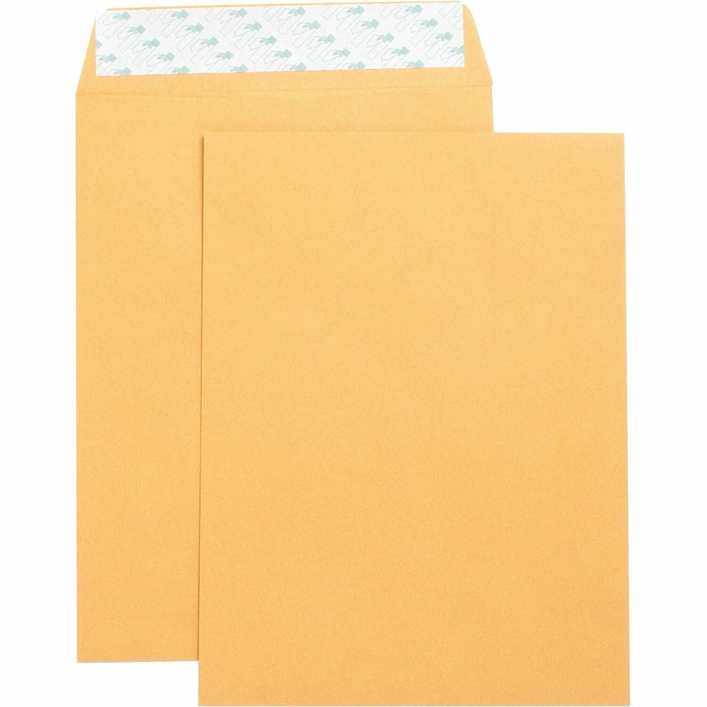 business-source-catalog-envelopes-num-bsn42120_1