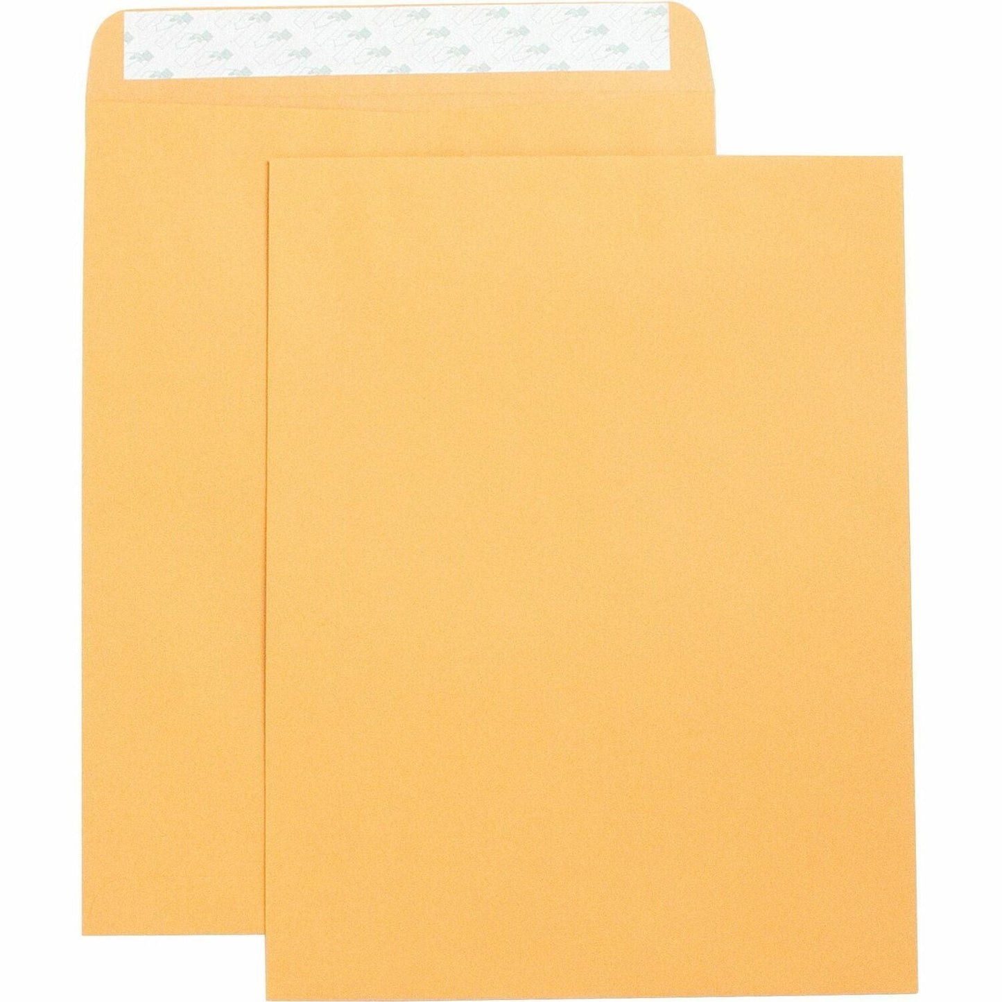 business-source-catalog-envelopes-num-bsn42121_1