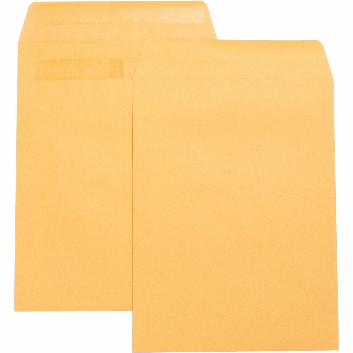 business-source-catalog-envelopes-num-bsn42123_1