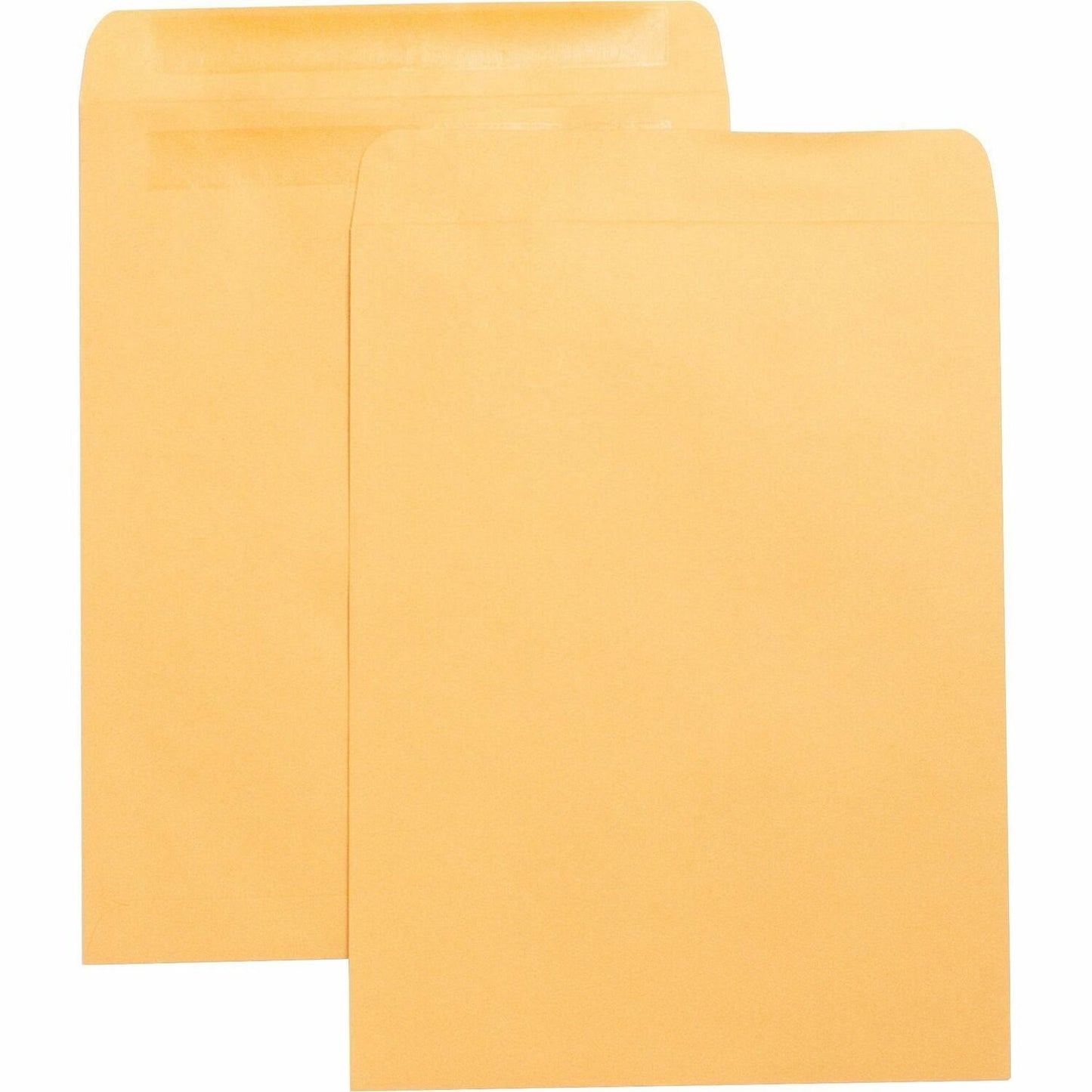 business-source-catalog-envelopes-num-bsn42124_1