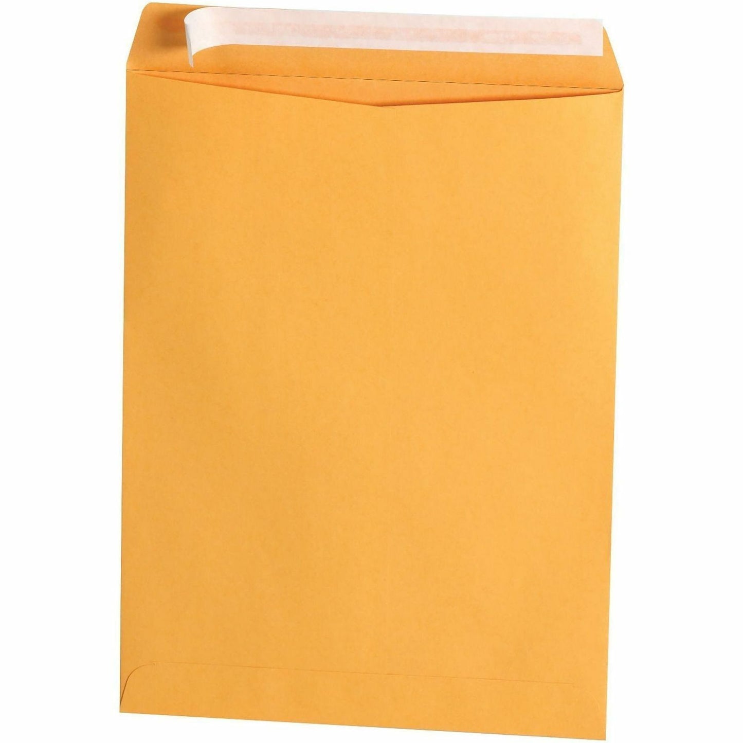 Business Source Kraft Peel-and-Stick Catalog Envelopes, Catalog, 9" Width x 12" Length, Peel & Stick, Brown, Kraft Paper, 100/Box (BSN40102)