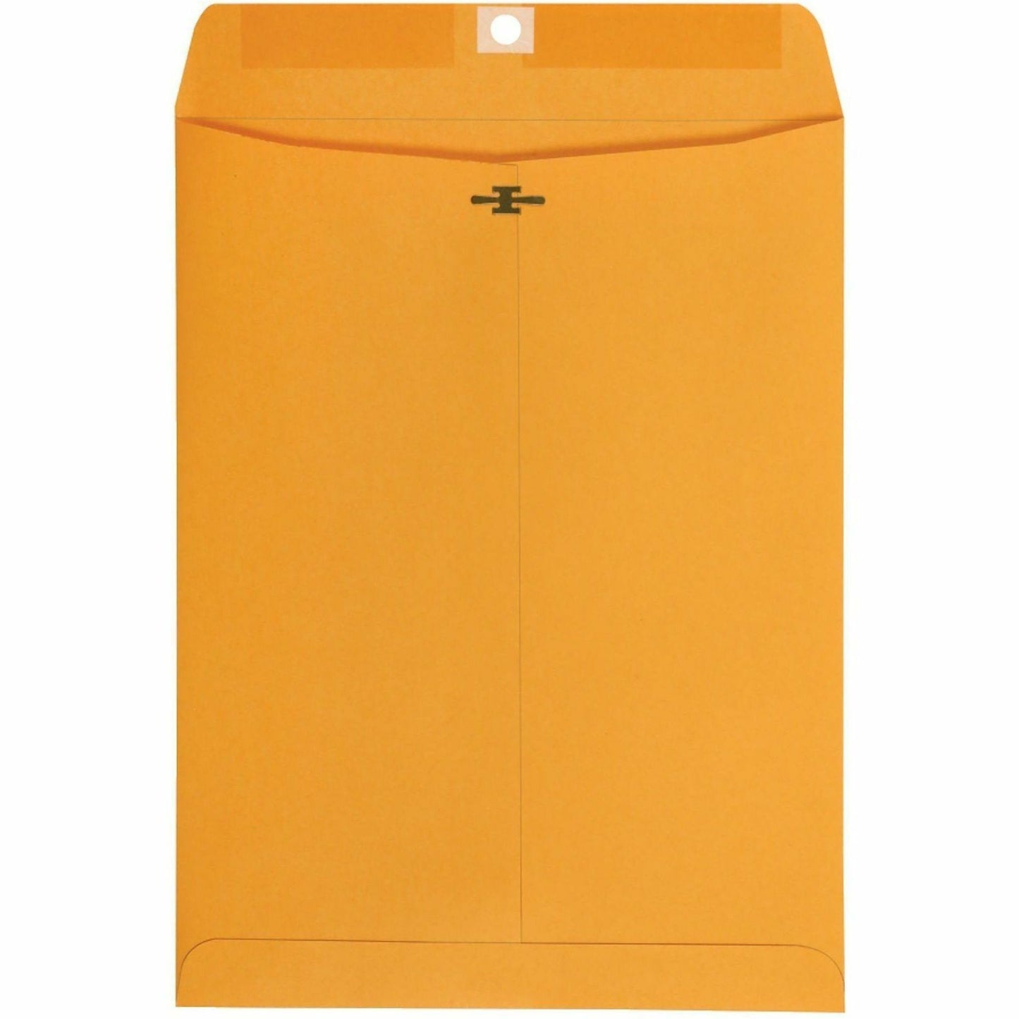 Business Source Self-Seal Catalog Envelopes, Catalog, 9" Width x 12" Lengtht, 250/Carton (BSN35269)
