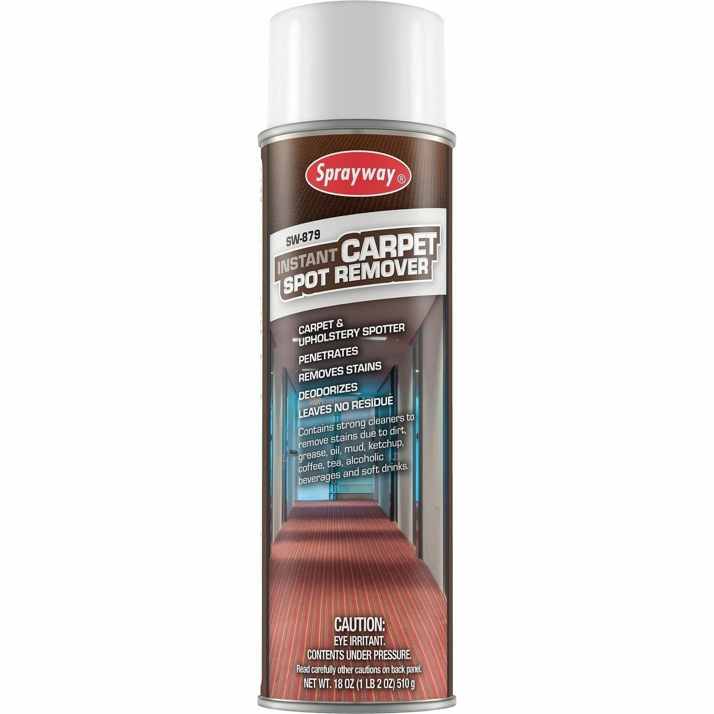 Sprayway Spot & Stain Remover Spray, 20 fl oz, Mild Scent, 12/Carton (CGCSW879CT)