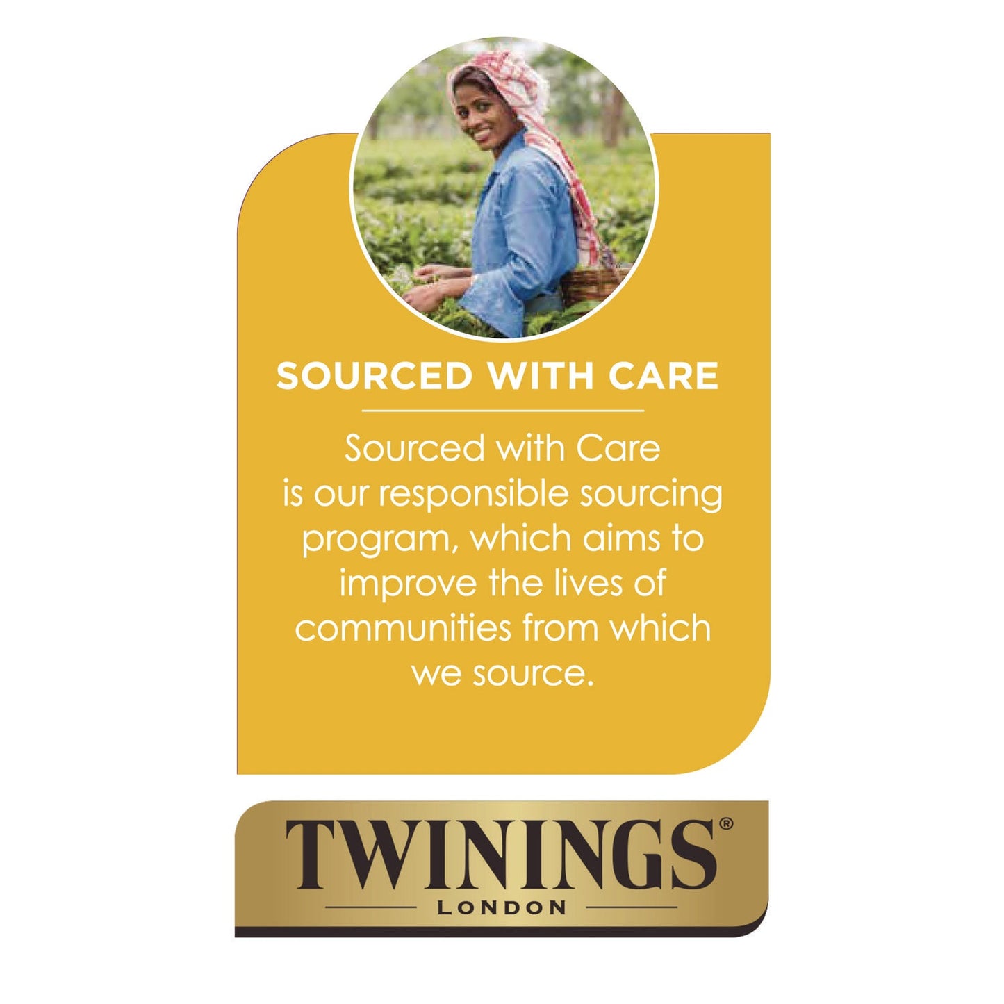 twinings-probiotics-lemon-and-ginger-herbal-tea-bags-0-05-oz-18-box-twgtna95223_8