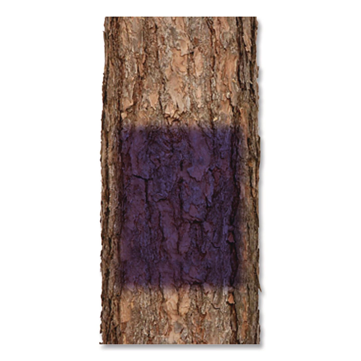 rust-oleum-specialty-no-hunting-purple-spray-paint-flat-no-hunting-purple-12-oz-aerosol-can-rst270970_4