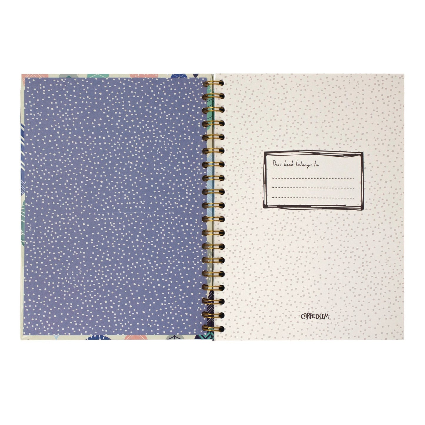 pukka-pad-b5-size-notebook-1-subject-medium-college-rule-design-cover-80-9-8-x-6-9-sheets-3-pack-puk9379cd_4