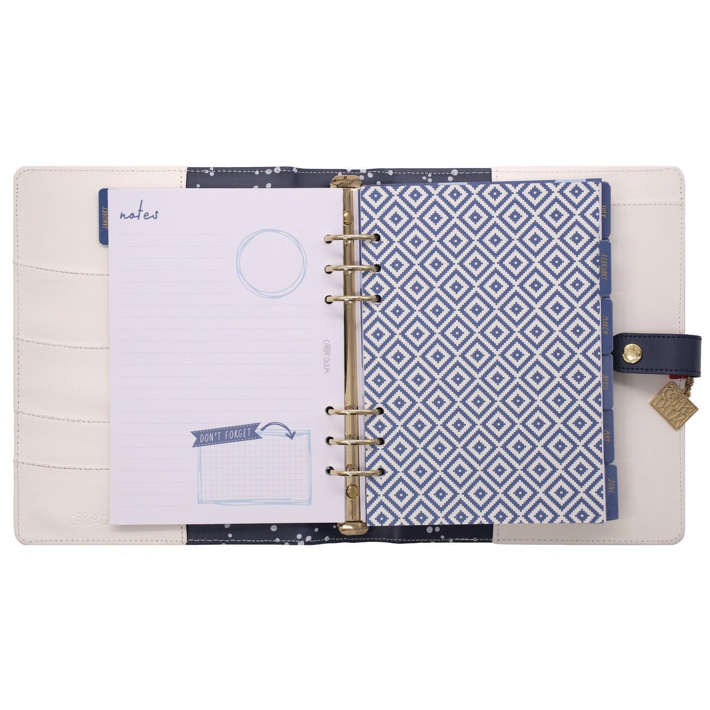 pukka-pad-a5-planner-color-wash-10-24-x-9-25-blue-green-red-yellow-cover-12-month-puk9179cd_9