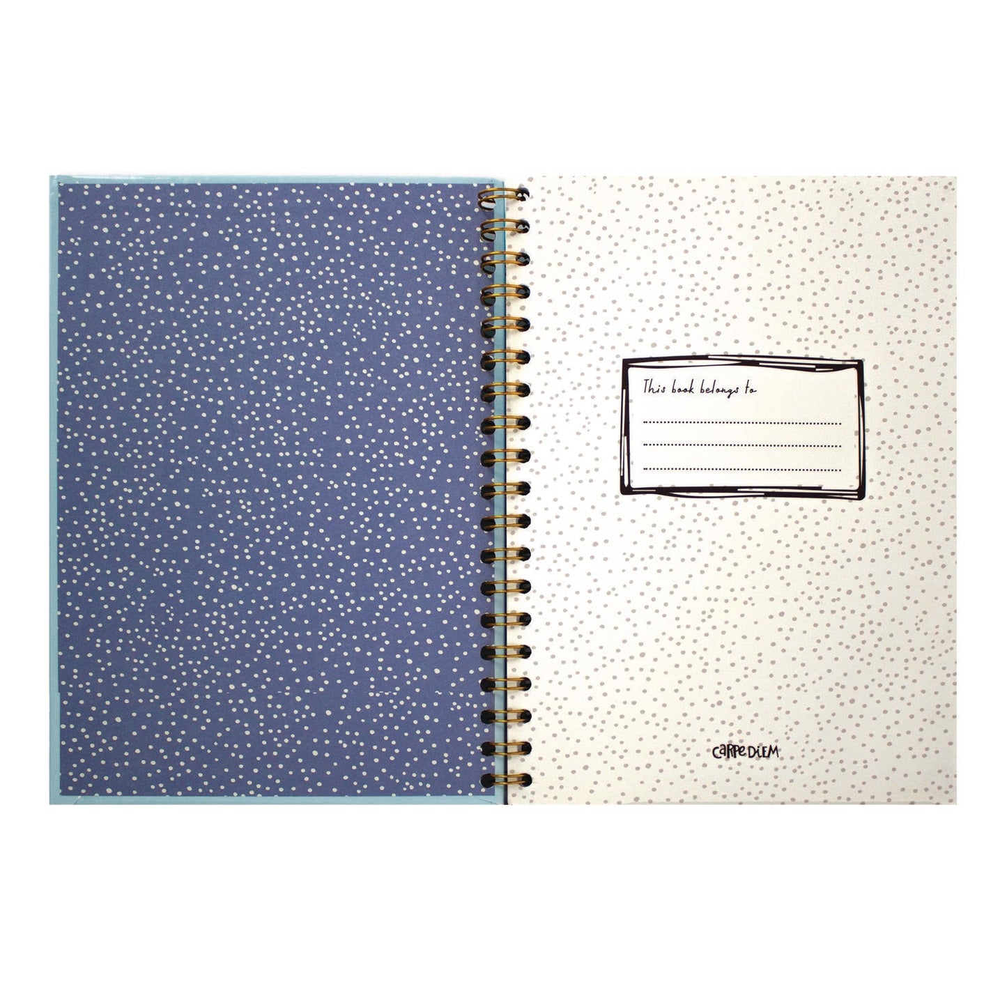 pukka-pad-b5-size-notebook-1-subject-medium-college-rule-blue-cover-80-9-8-x-6-9-sheets-3-pack-puk9378cd_3