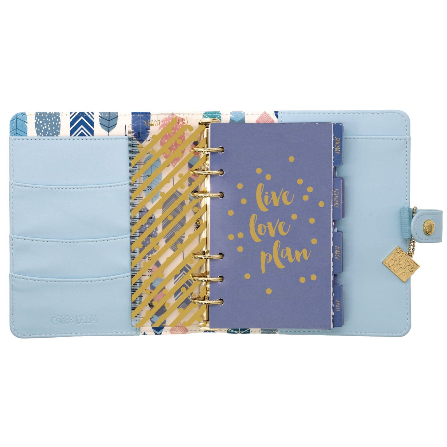 pukka-pad-personal-planner-7-48-x-6-42-blue-cover-12-month-undated-puk9165cd_4