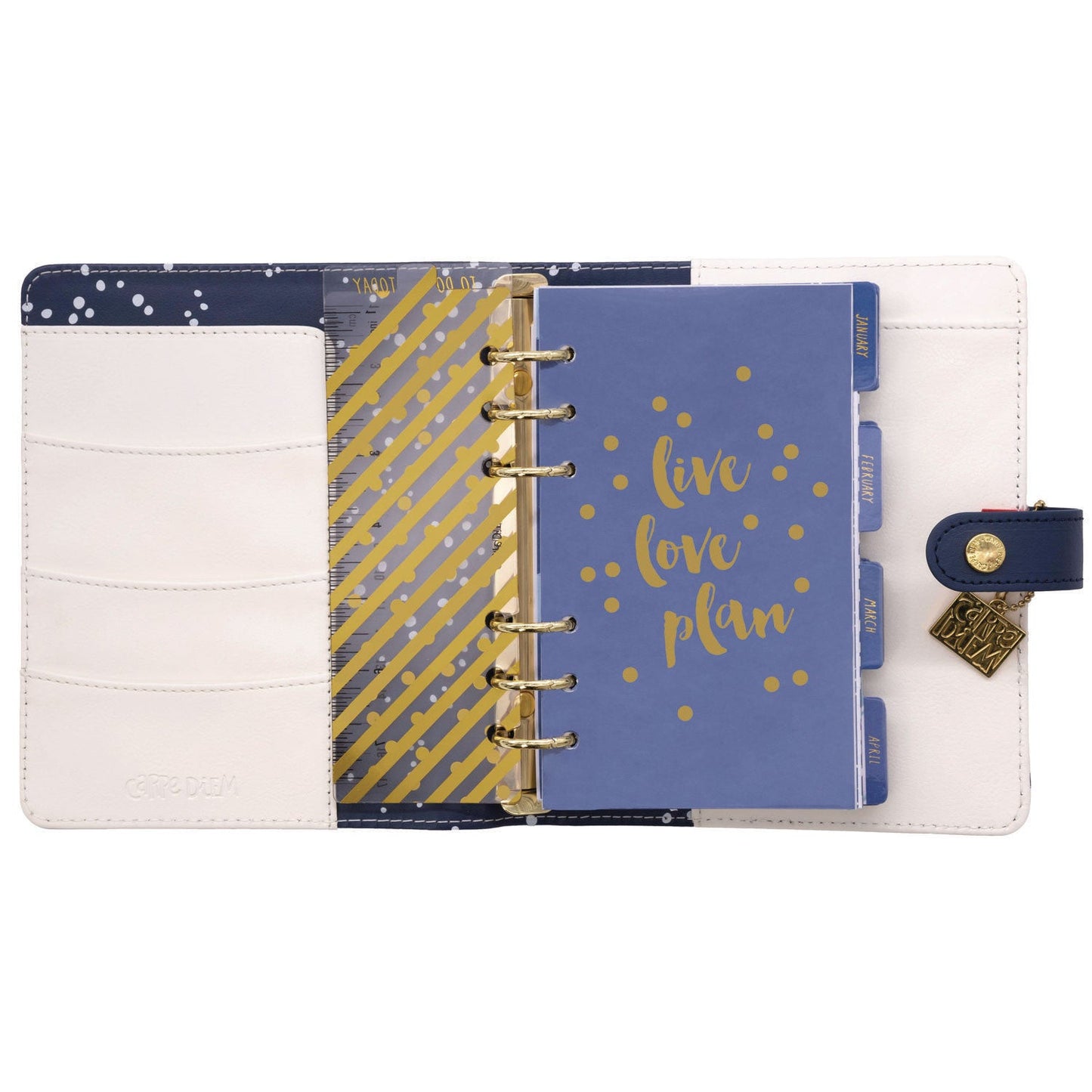 pukka-pad-personal-planner-color-wash-7-48-x-6-42-blue-green-red-yellow-cover-12-month-undated-puk9180cd_7