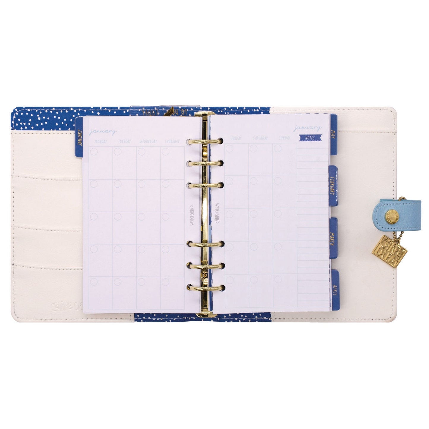 pukka-pad-personal-planner-feathers-7-48-x-6-42-blue-cream-pink-cover-12-month-undated-puk9210cd_7