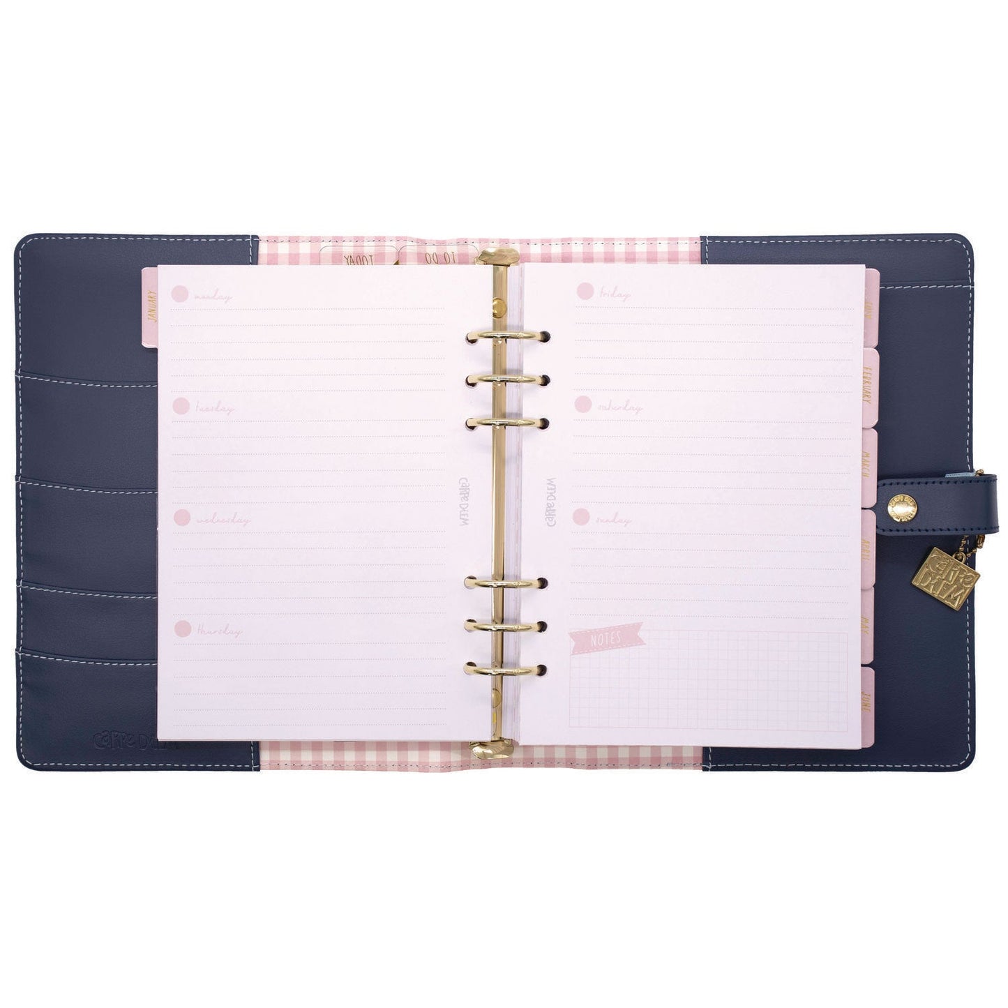pukka-pad-a5-planner-feathers-10-24-x-9-25-blue-pink-white-yellow-cover-12-month-puk9198cd_8