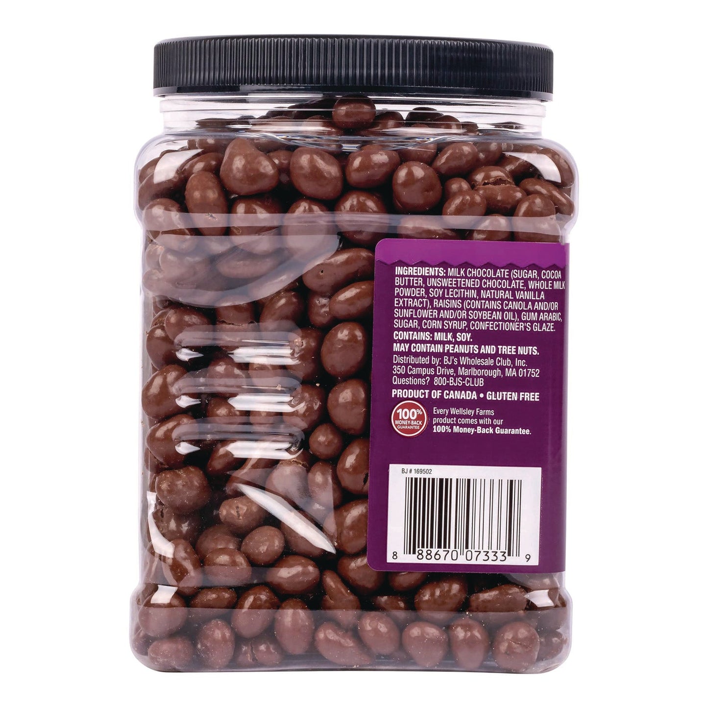 wellsley-farms-milk-chocolate-covered-raisins-50-oz-jar-grr22002345_5