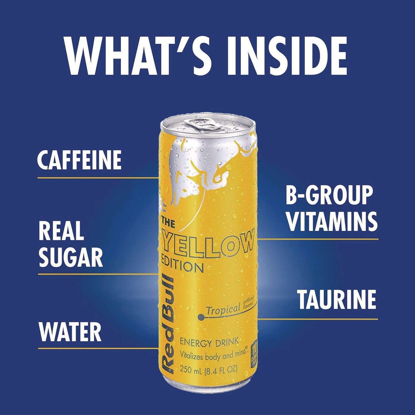 red-bull-editions-variety-pack-assorted-flavors-8-4-oz-can-24-carton-grr22002380_6