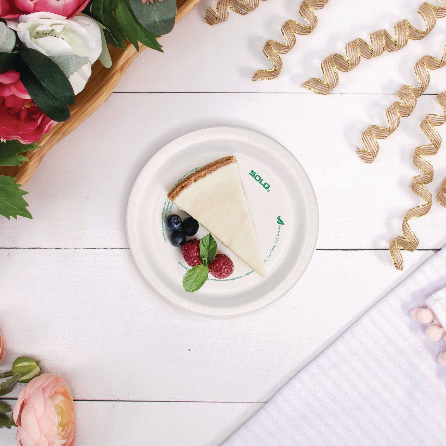 solo-r-compostable-paper-dinnerware-proplanet-seal-plate-6-dia-white-500-carton-sccofmp6planet_6