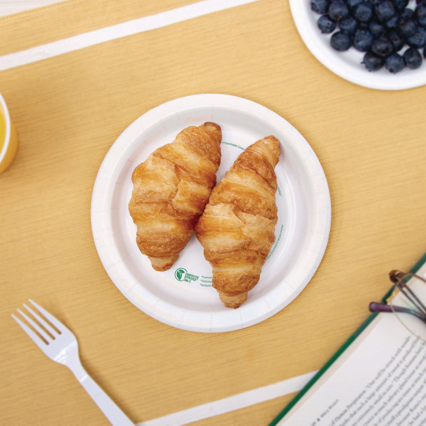 solo-r-compostable-paper-dinnerware-proplanet-seal-plate-6-dia-white-500-carton-sccofmp6planet_7