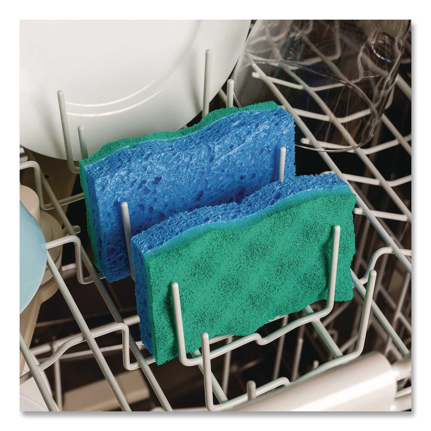 o-cedar-r-scrunge-non-scratch-scrub-sponge-2-63-x-4-25-1-thick-green-blue-2-pack-8-packs-carton-fhd169431ct_8