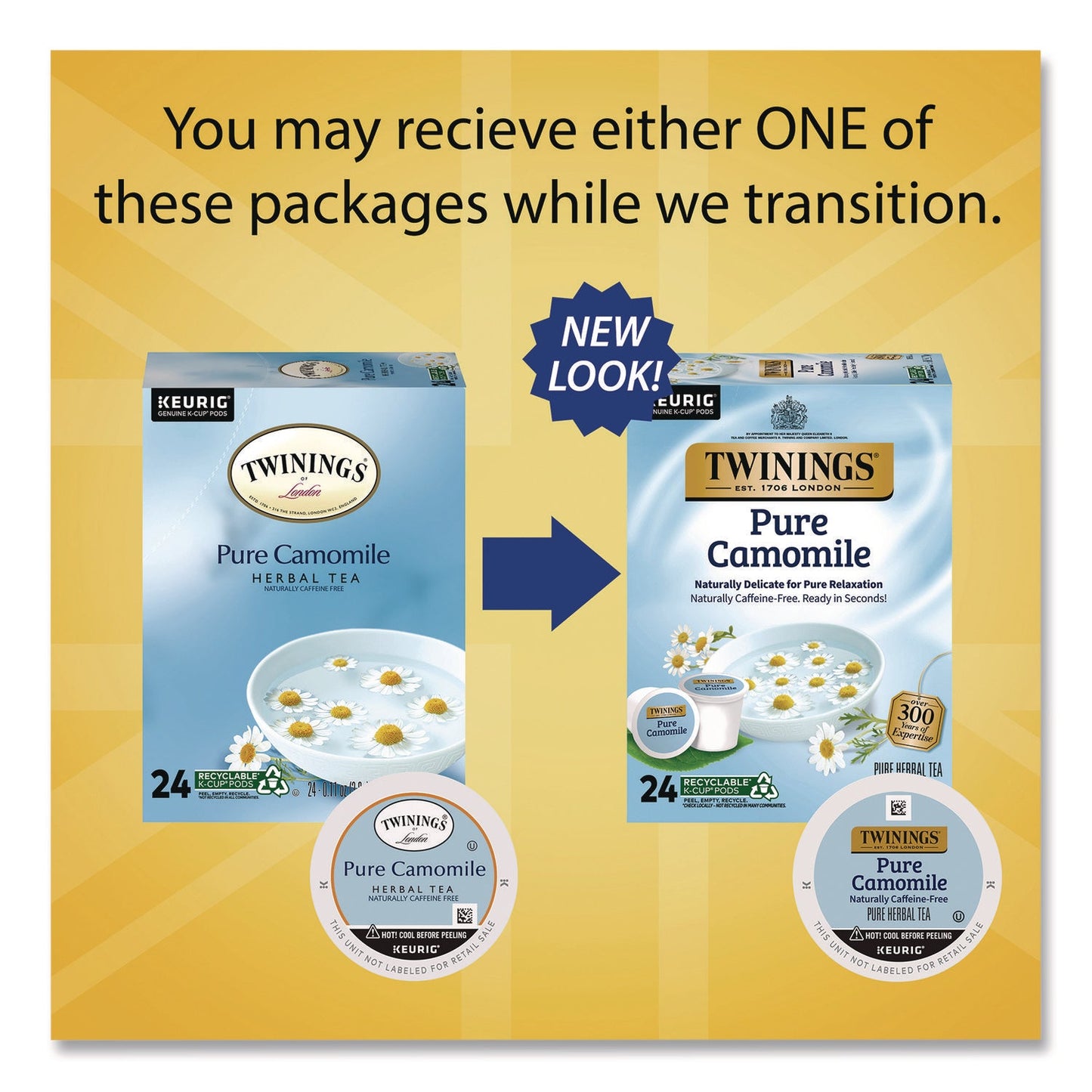 twinings-r-tea-k-cups-pure-camomile-0-11-oz-24-box-twgtna85790_2