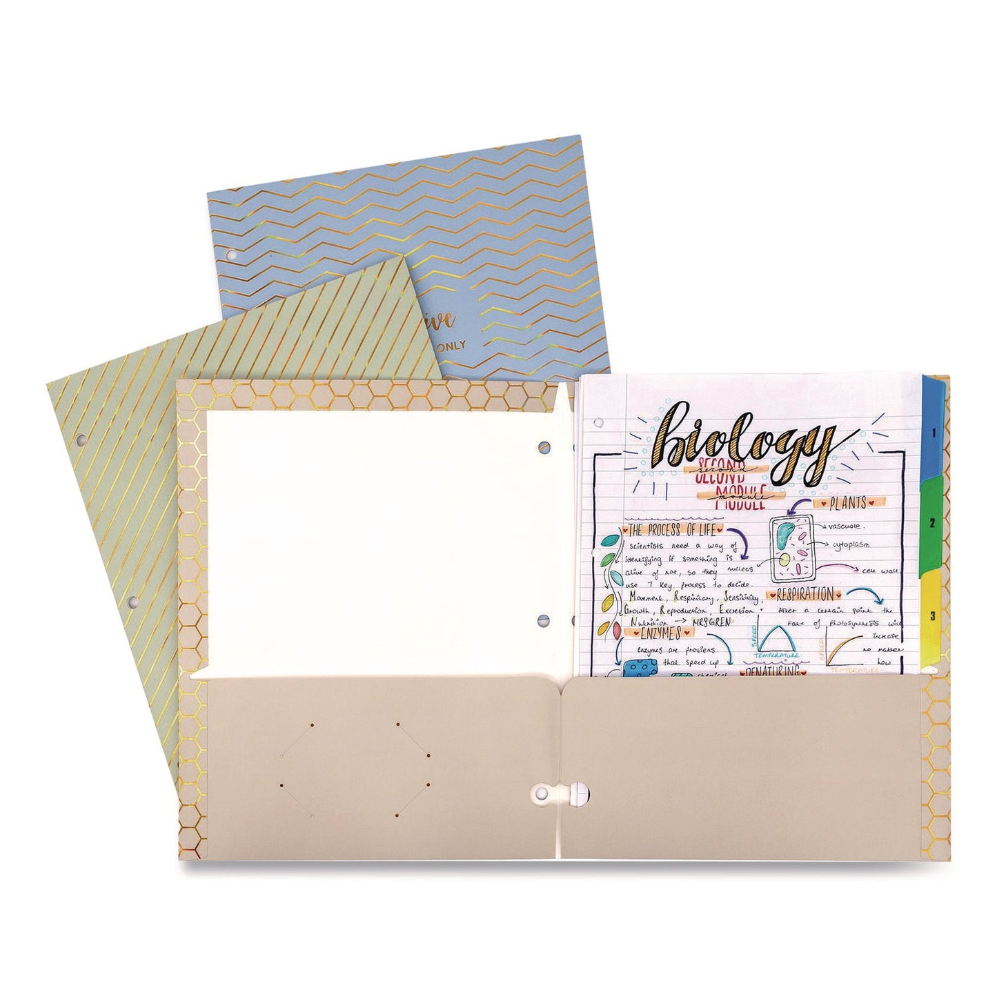 pukka-pad-r-two-pocket-portfolio-folder-1-capacity-9-6-x-11-9-haze-blue-green-taupe-6-pack-puk9980asthze_7
