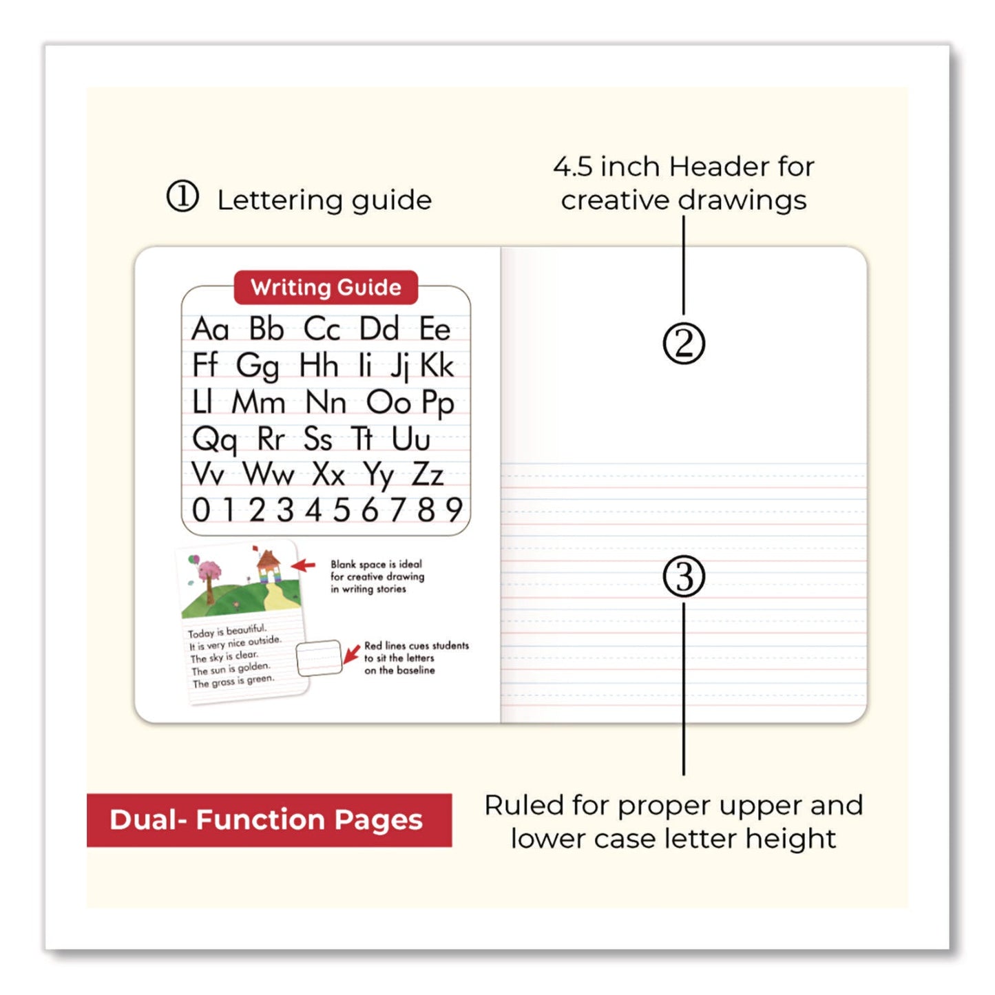 bazic-r-products-composition-books-quadrille-rule-5-sq-in-green-marble-cover-100-9-75-x-7-5-sheets-baz5053_4
