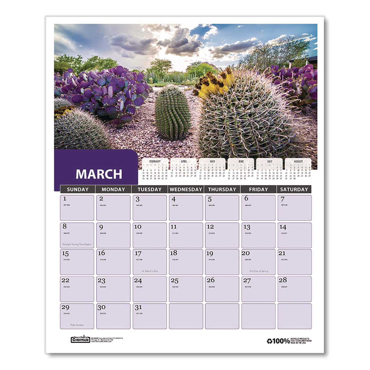 House of Doolittle Recycled Succulent & Cacti Wall Calendar, January 2027 to December 2027, 11" x 14" (HOD317)