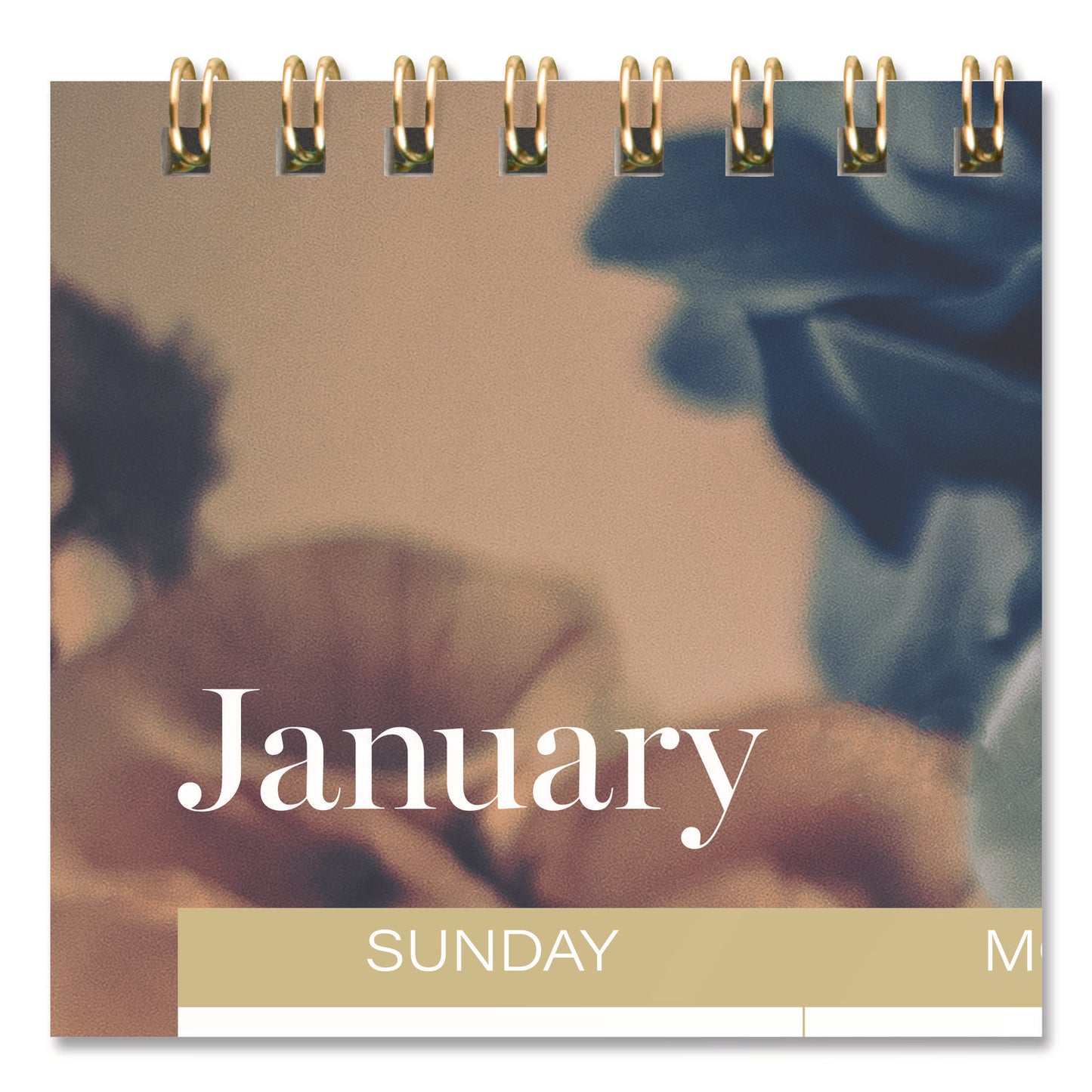 Cambridge® Midnight Garden Monthly Wall Calendar, 15 x 12, Floral Artwork, 12-Month (Jan-Dec): 2026 (AAG1768707)