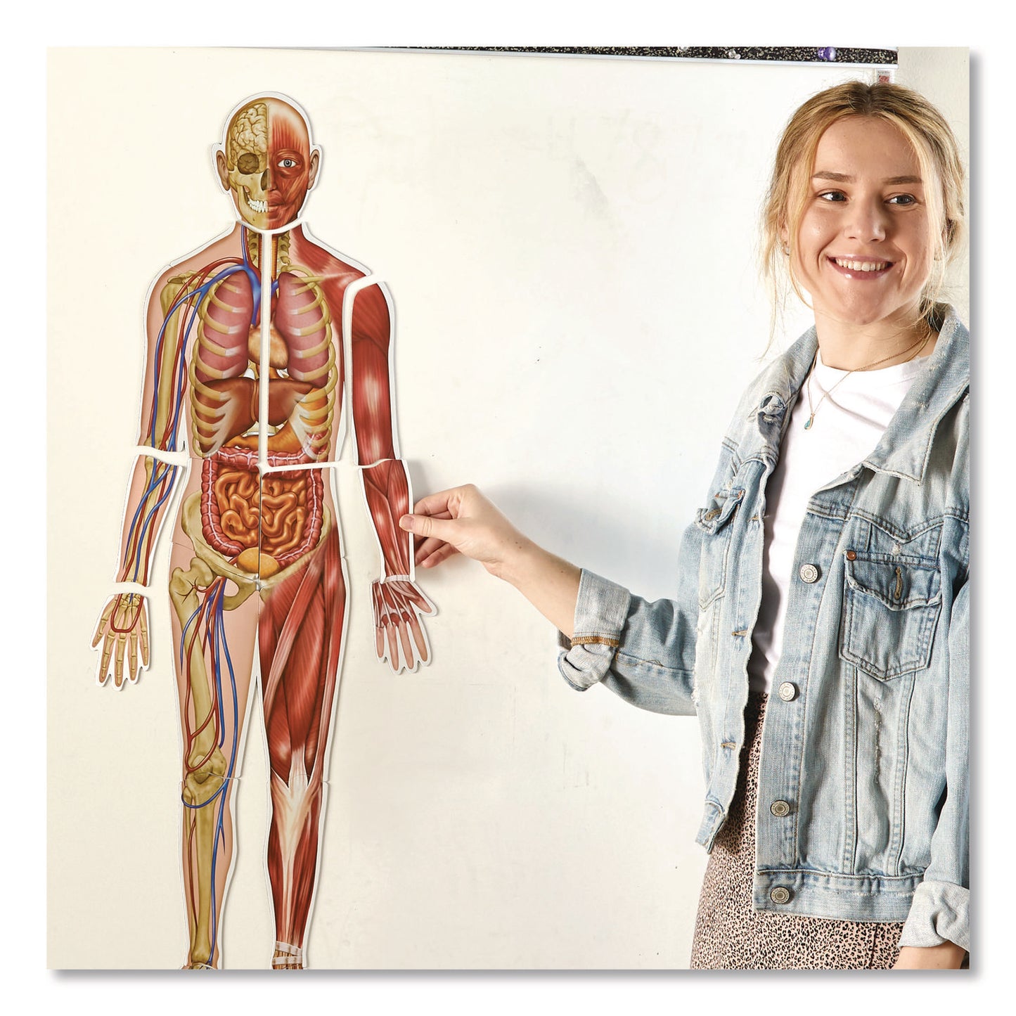 Learning Resources® Double-Sided Magnetic Human Body, Grades K to 5, English/Spanish, Assorted Colors, 17 Pieces (LRNLER6044)