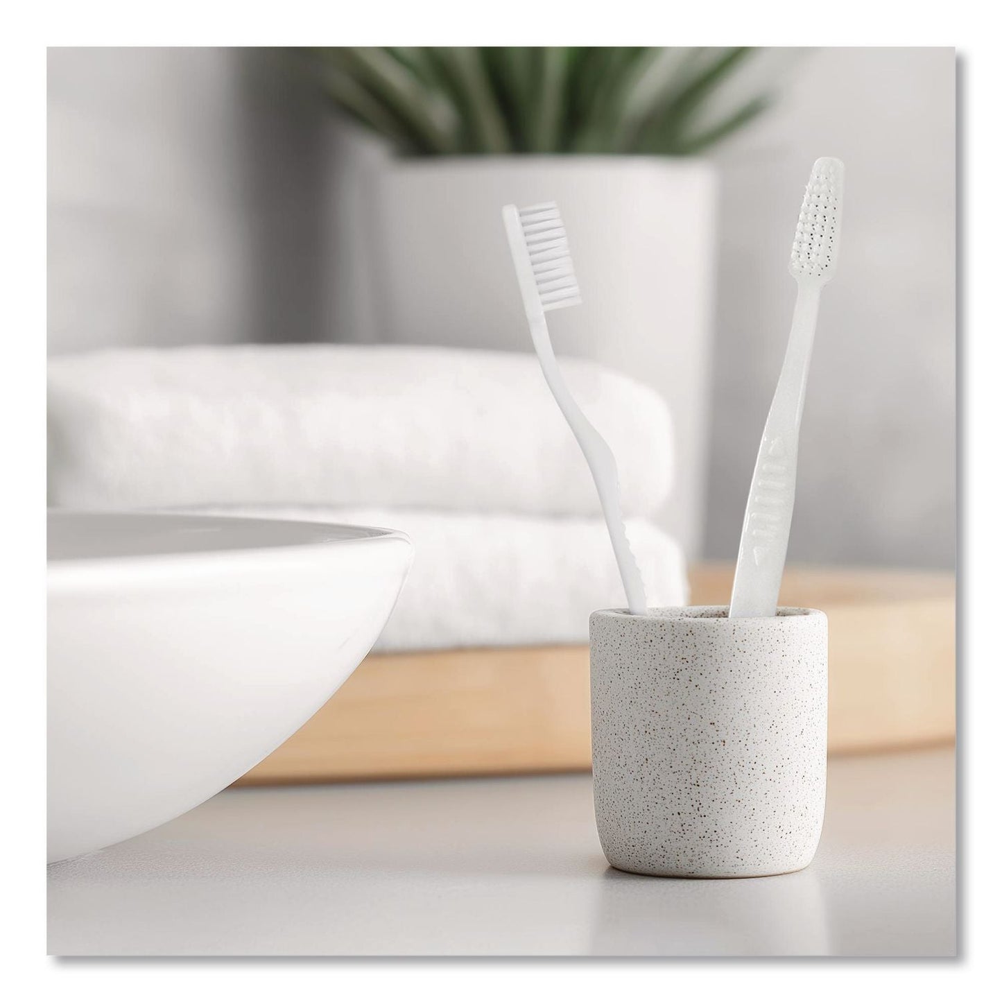 boardwalk®-toothbrush-white-144-carton-bwktbrushsf_4