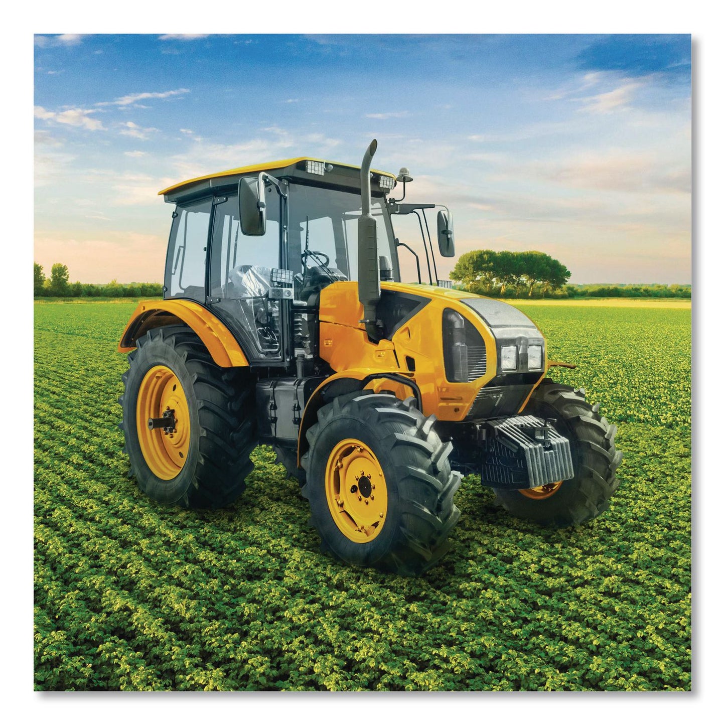 Rust-Oleum® Specialty Farm and Implement Spray Paint, Gloss Caterpillar Yellow, 12 oz Aerosol Can, 6/Carton (RST280140)