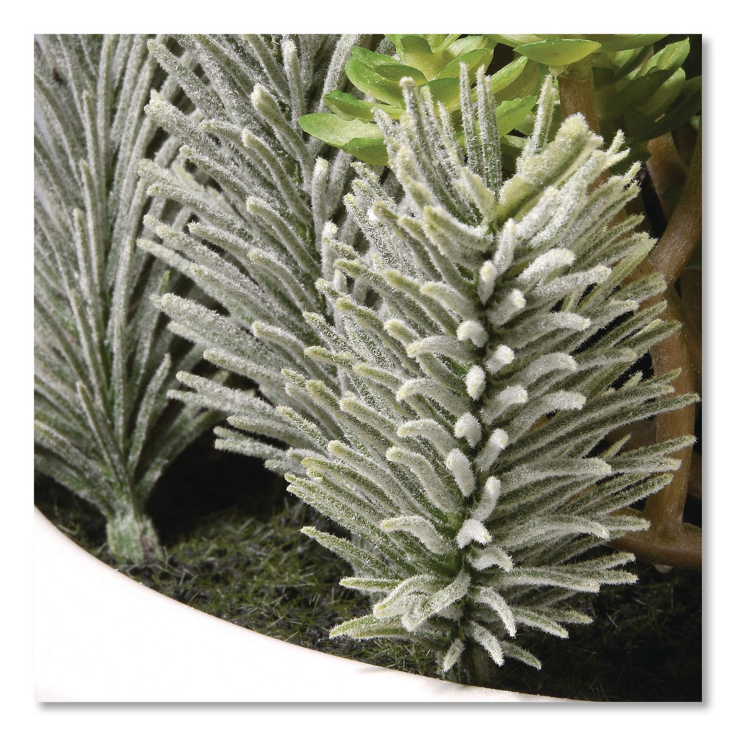 National Tree Company® Spring Potted Plant, 8" x 8" x 8", Green Plant, White Pot (NTTRASXF169W)