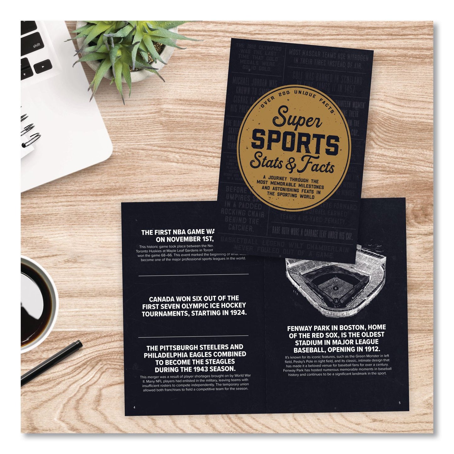 Willow Creek Press Super Sports Stats and Facts Softcover Book, Paperback, 112 Pages (WPR49823)