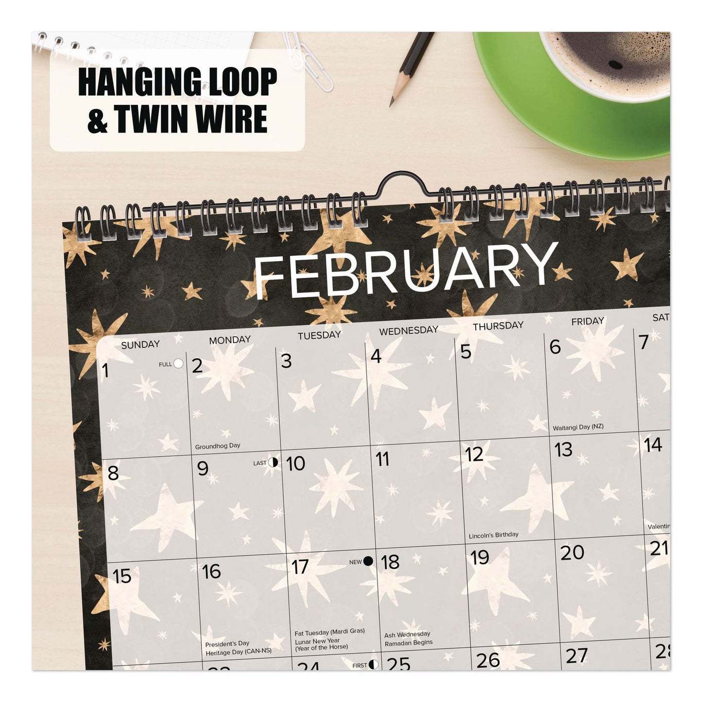 Willow Creek Press Starry Night 2026 Spiral Wall Calendar, Starry Night Artwork, 12 x 12, Multicolor Sheets, 12-Month (Jan to Dec) (WPR54758)