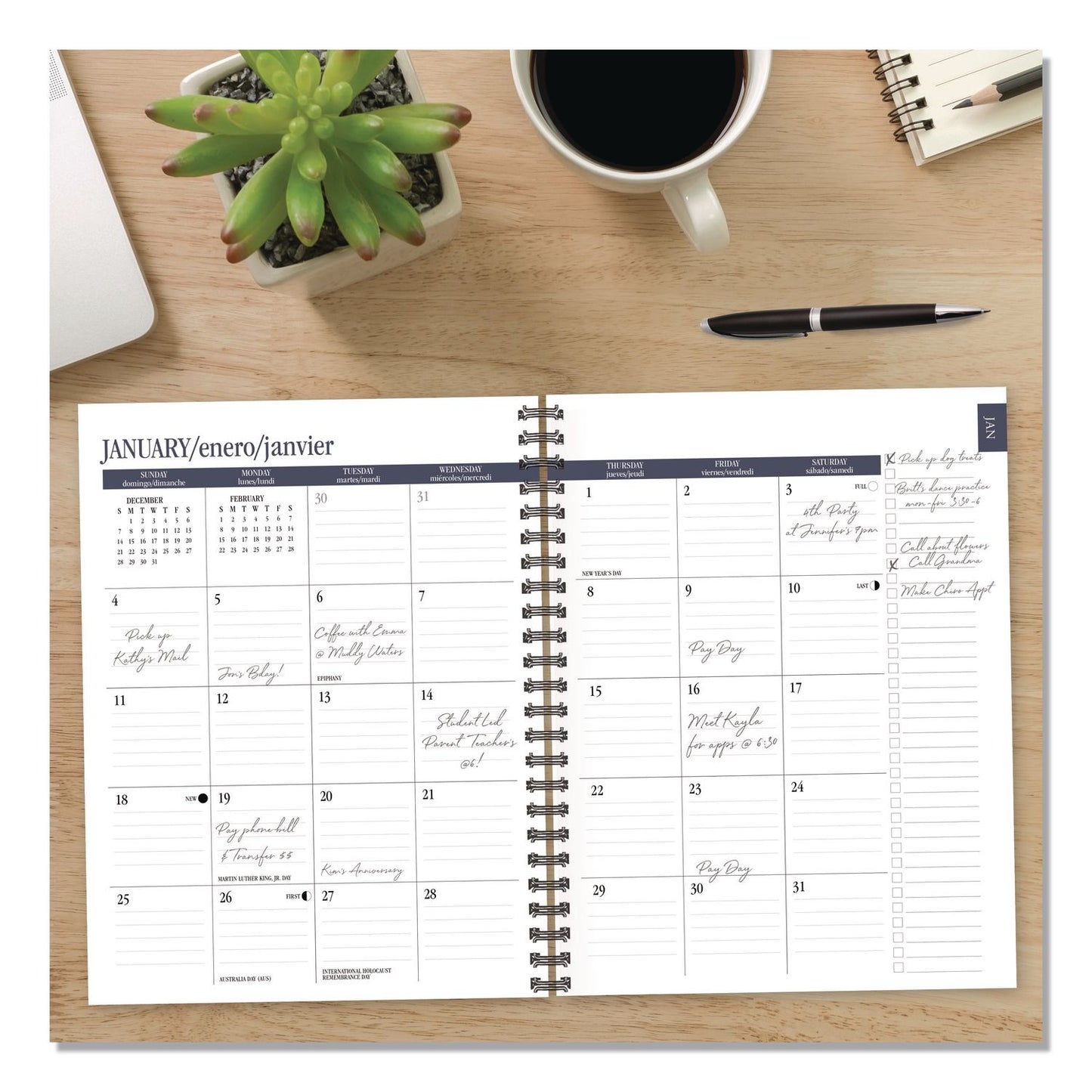 Willow Creek Press Cats Love Plants Weekly/Monthly Planner, 8.5 x 6.5, Multicolor Cover, 12-Month (Jan to Dec): 2026 (WPR57728)