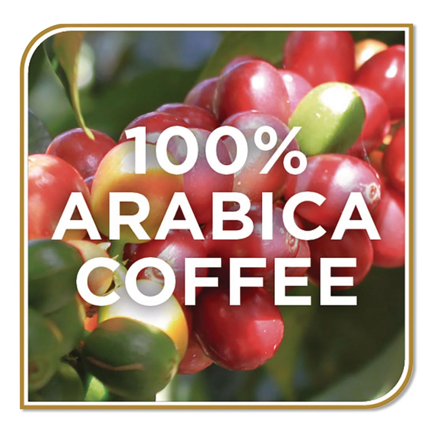 Don Francisco's Coffee Espresso Roast Soft Pods, 18/Box (GVNFGS14507)