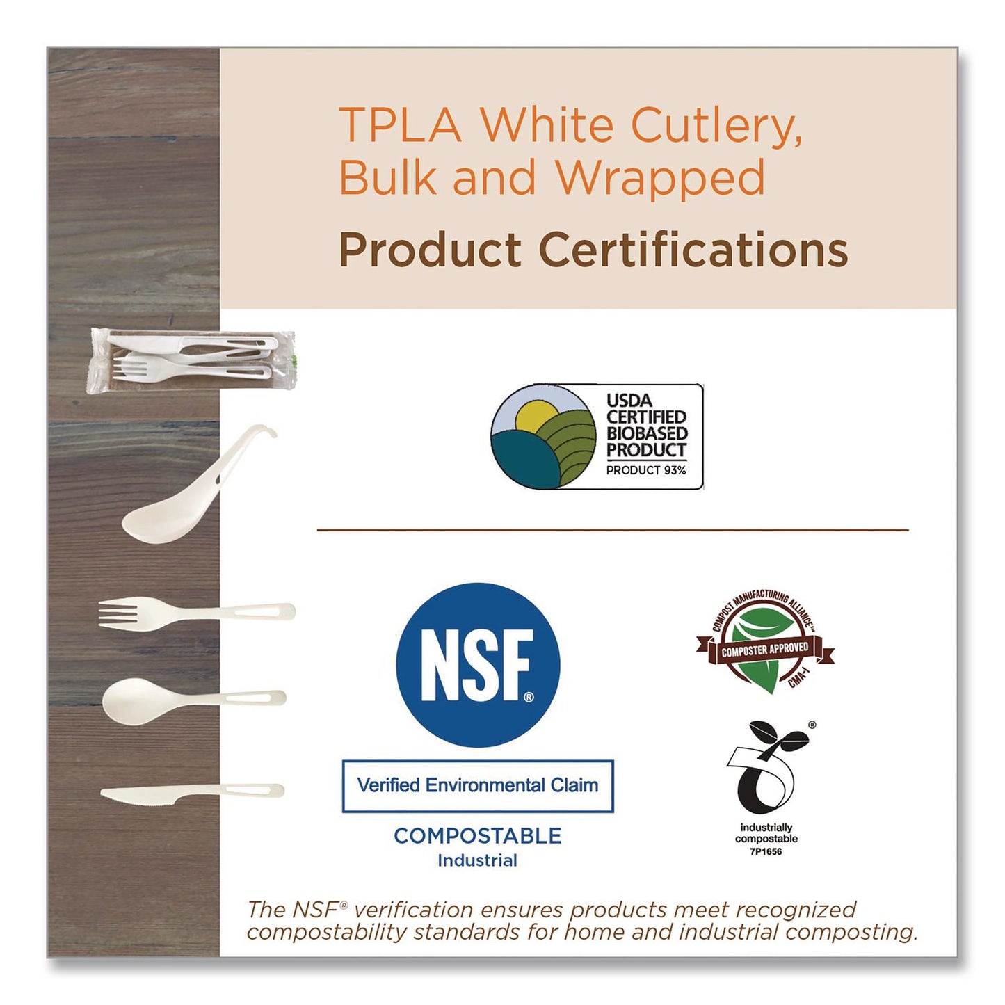 World Centric® TPLA Cutlery, Medium Heavyweight, Spoon, Plastic, Light Beige, 24/Pack (WORSPPSR)