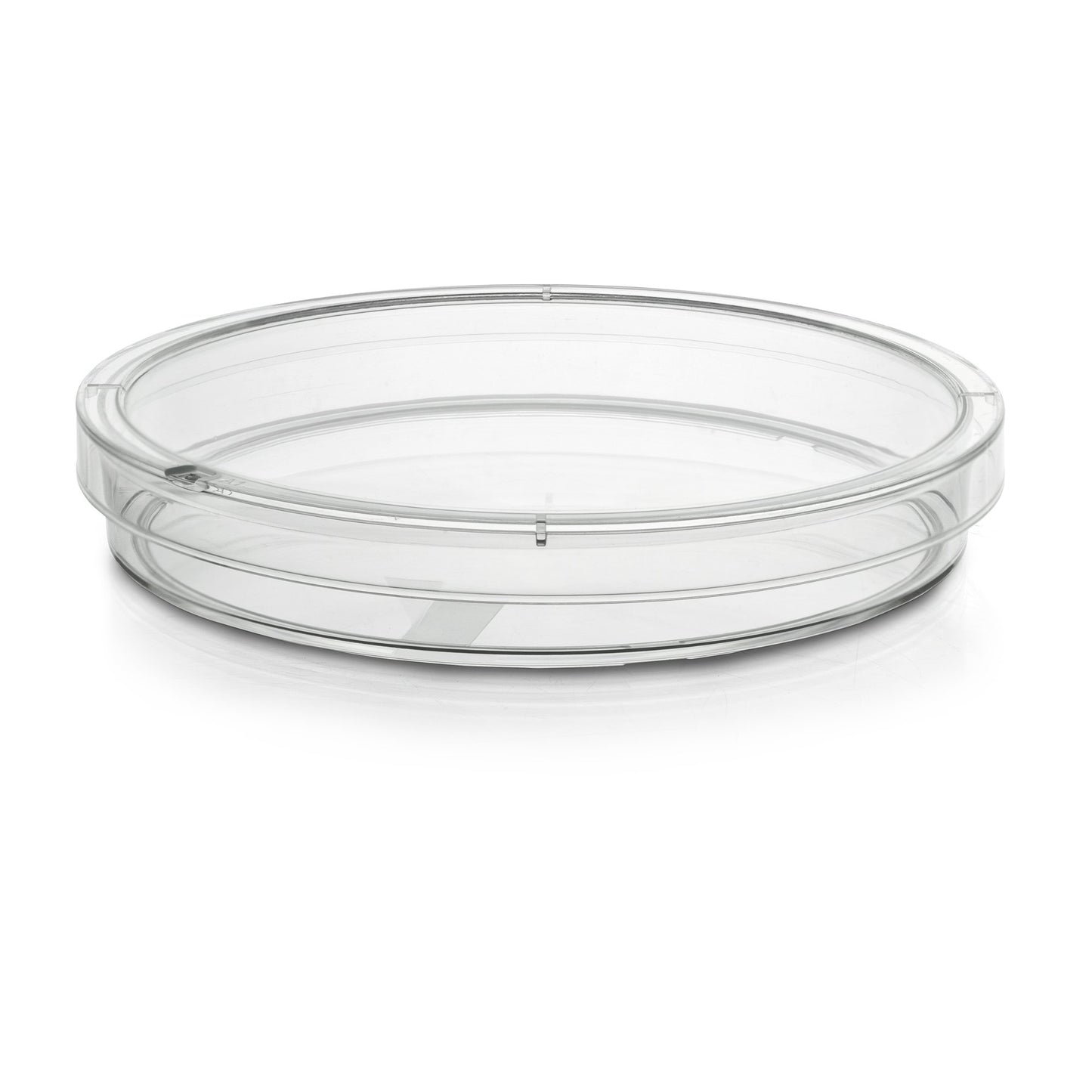 McKesson Petri Dish Polystyrene (1198176_CS)
