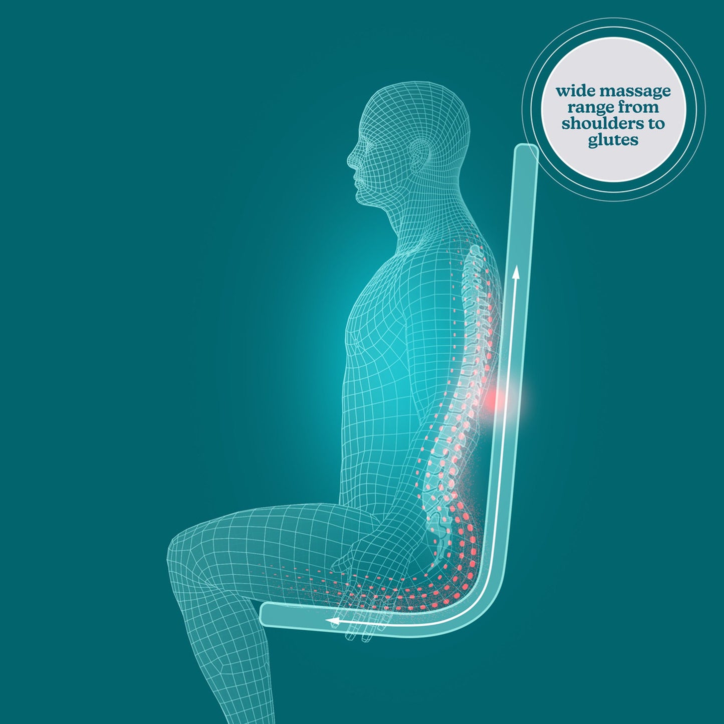 HoMedics® ShiatsuFlex® Back Massage Cushion with Heat HoMedics® ShiatsuFlex® (1253816_EA)