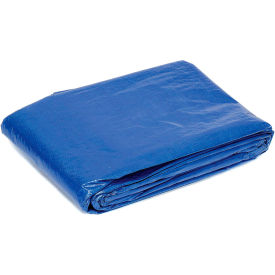 Global Industrial 10' x 10' Light Duty 2.9 oz. Tarp, Blue (WB298551)