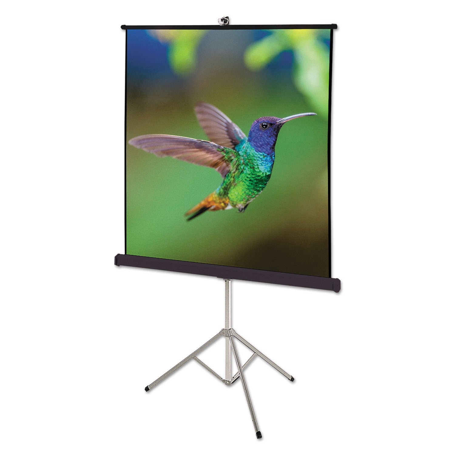 quartet-r-portable-tripod-projection-screen-70-x-70-white-matte-finish-qrt570s_1