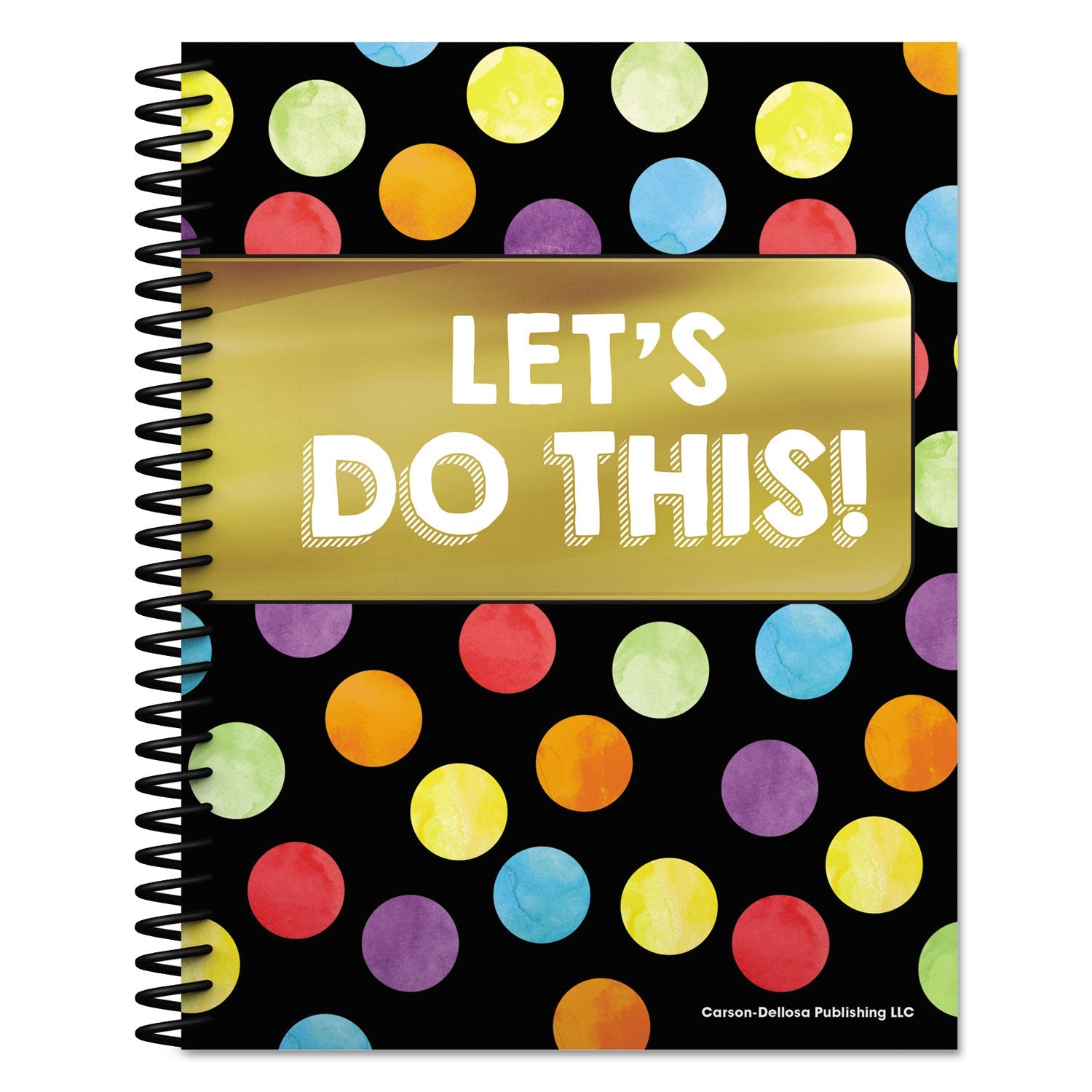 carson-dellosa-teacher-planners-num-cdp105000_1