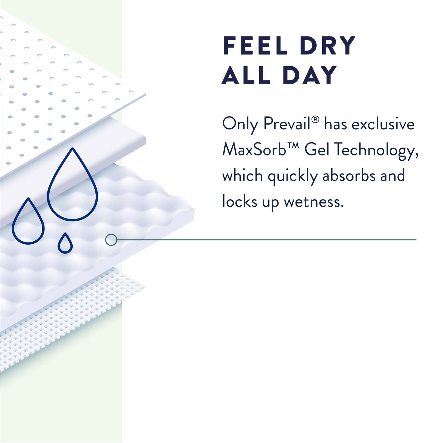 Prevail® Daily Unisex Adult Incontinence Brief Small Disposable Heavy Absorbency (677288_BG)