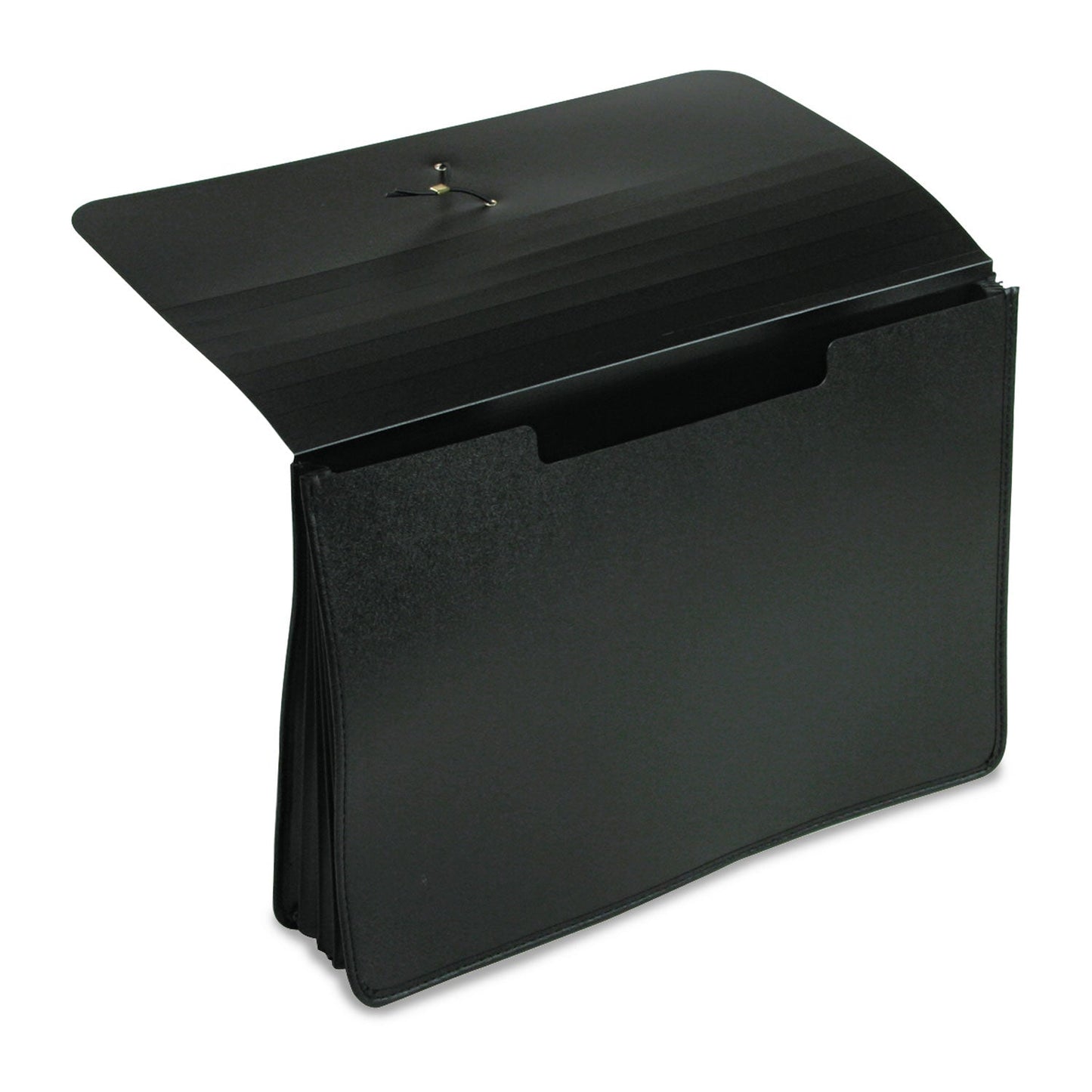 pendaflex-expanding-portfolio-num-ess82014_2