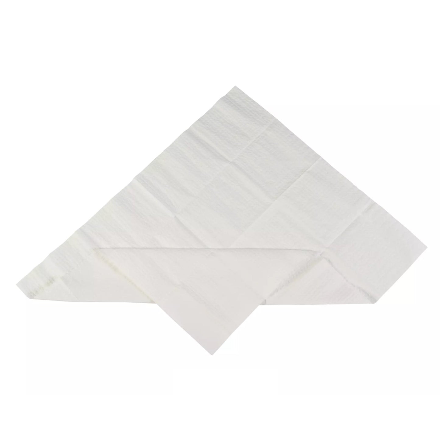 Cardinal Sterilization Tray Liner 19-1/2 X 23 Inch, Absorbent (971803_CS)