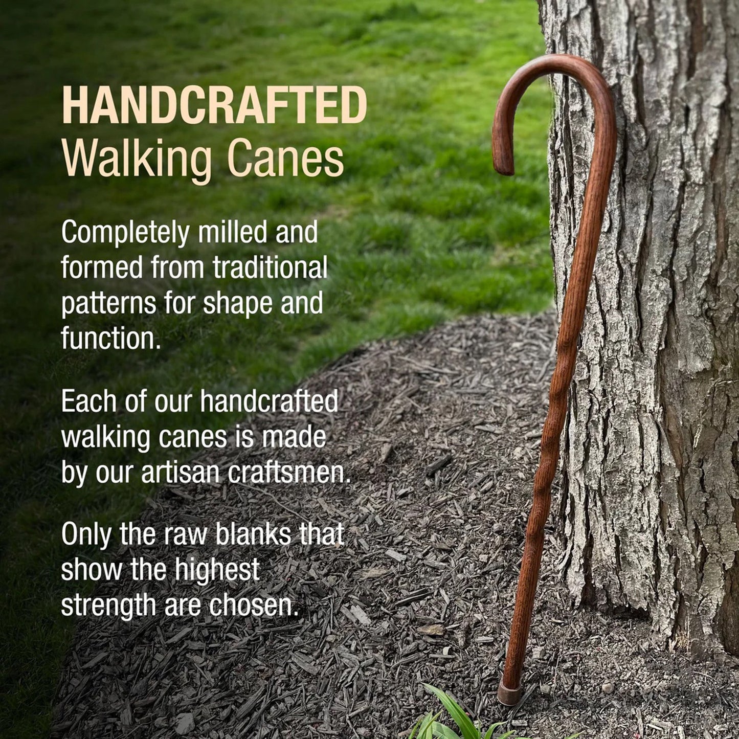 Brazos™ Twisted Round Handle Cane Wood 37 Inch Height Red Oak (1229065_EA)
