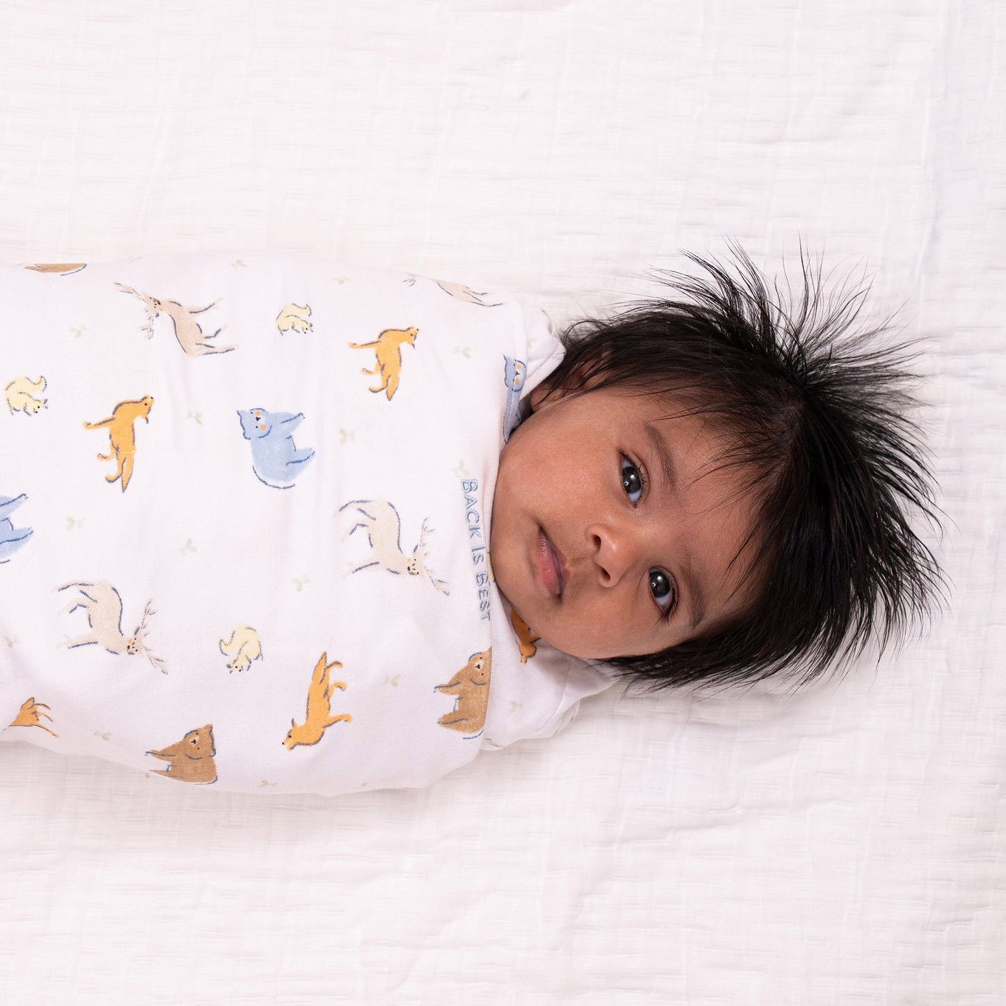 Halo® SleepSack® Swaddle Cotton NonSterile (1240549_EA)